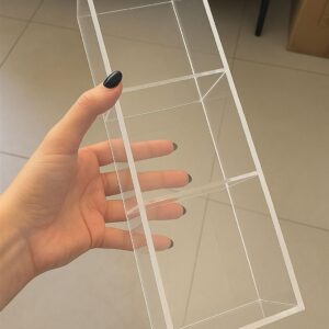 ארגונית מחולקת דניאלה